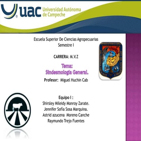 Artrologia veterinaria