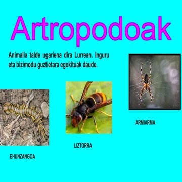 ARTROPODOAK 1D