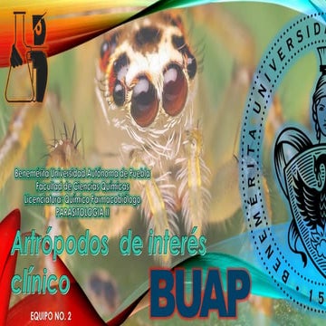 Artropodos de interes clinico 2 