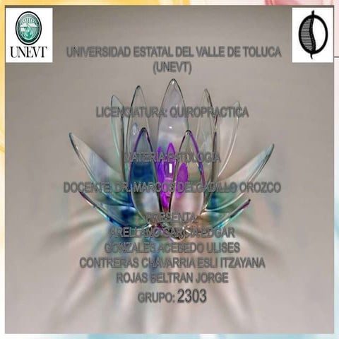 Artritis por depósito de cristales