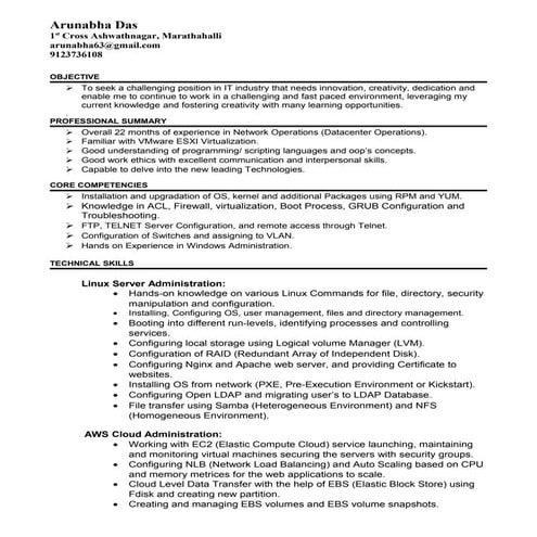 Blue Doodle Project Presentation.pdf.pdf