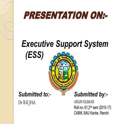 Executive Support System (ESS)
