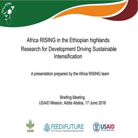 Africa RISING in the Ethiopian highlands: Research for development driving su...