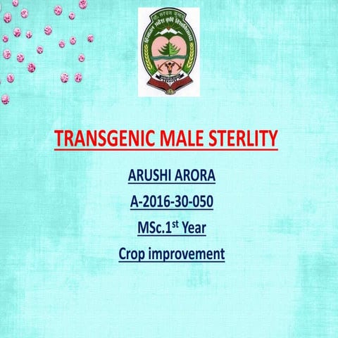 transgenic male sterlity
