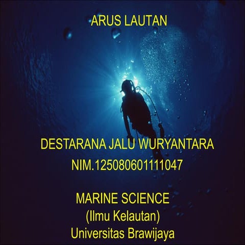 Arus lautan
