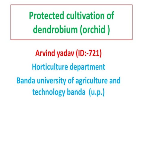 protected cultivation of orchid and dendrobium
