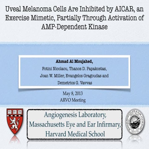 Arvo 2013 presentation 