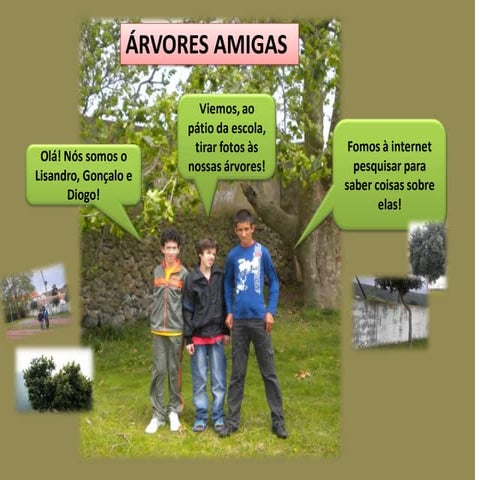 Arvores  amigas