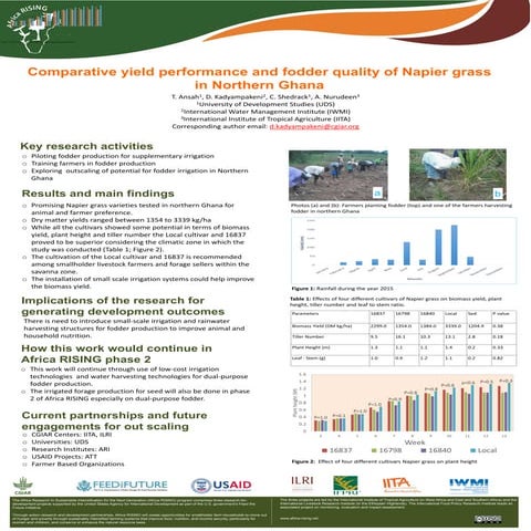 Comparative yield performance and fodder quality of Napier grass in northern ...