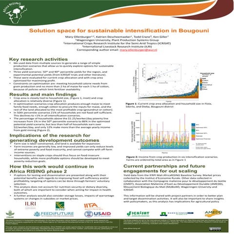Solution space for sustainable intensification in Bougouni
