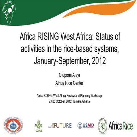 Africa RISING West Africa: Status of activities in the rice-based systems, Ja...