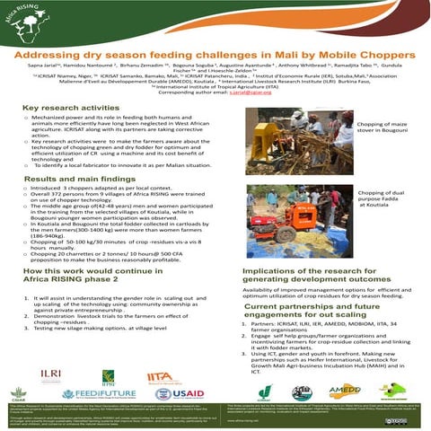 Addressing dry season feeding challenges in Mali by mobile choppers 