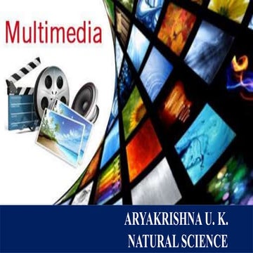 Multimedia