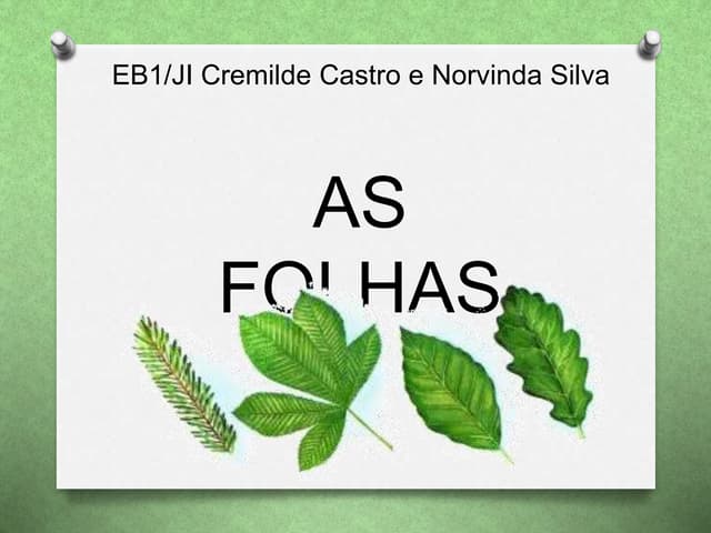 As Folhas - Classificação