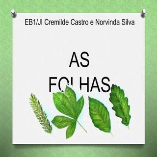 As Folhas - Classificação