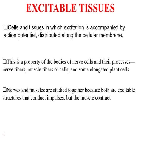 Excitable tissues nerve