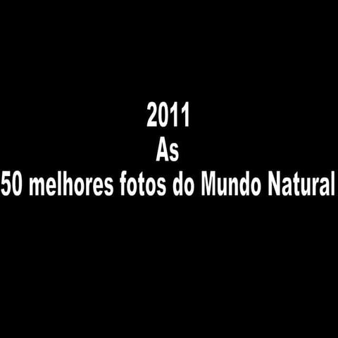 As 50 melhores fotos do mundo natural