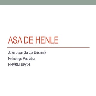 Asa de henle 