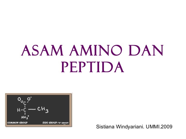 Asam Amino Dan Peptida