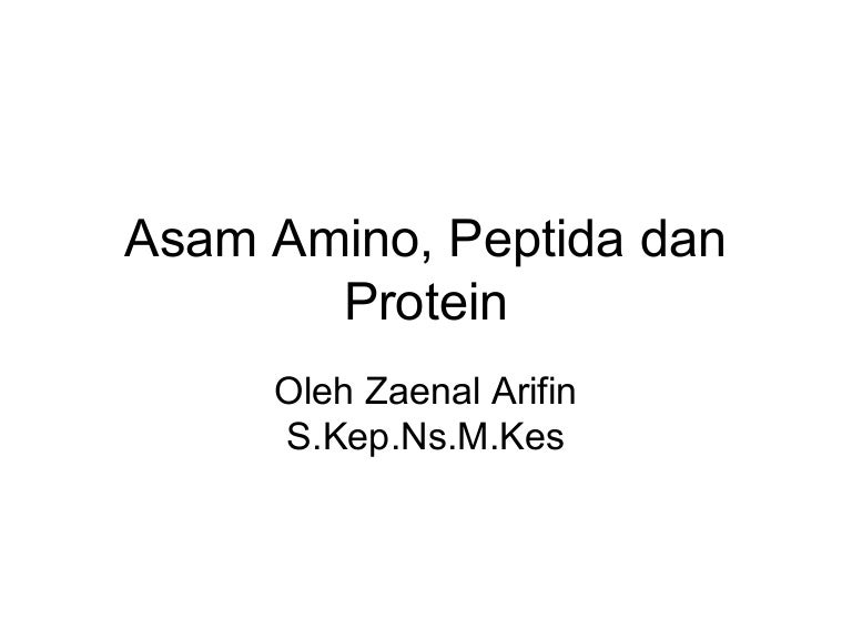 Asam Amino Peptida Dan Protein