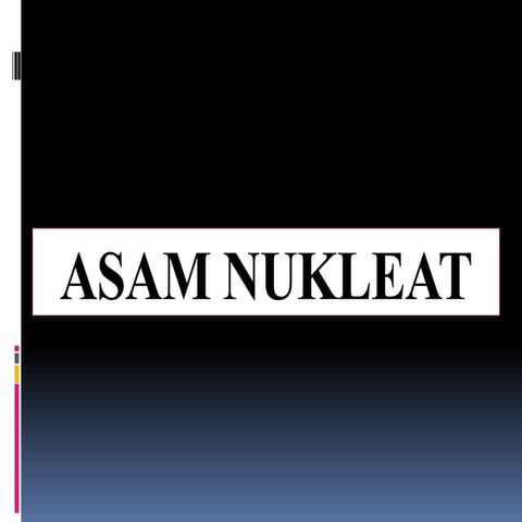 Asam nukleat