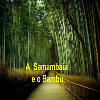 A samambaia e o bambú