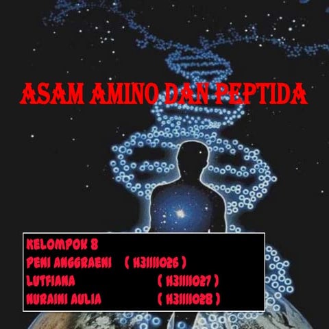 ASAM AMINO