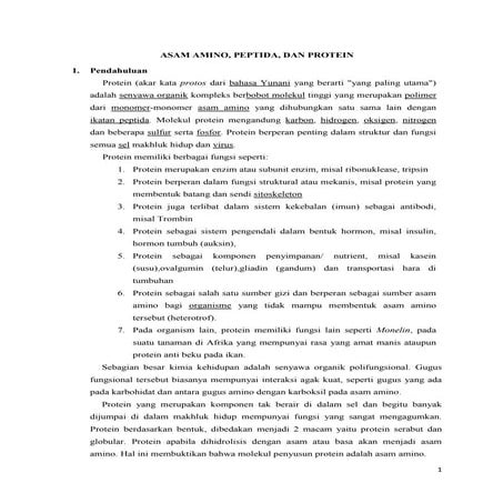 Asam amino, peptida, protein