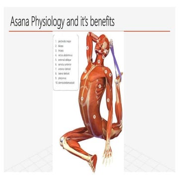 Asana Physiology and it’s benefits.pptx