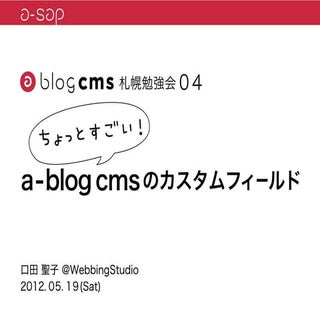 a-sap04「ちょっとすごい！a-blog cmsのカスタムフィールド」
