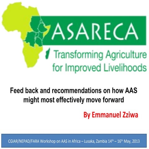 Feedback and recommendations on how AAS might most effectively move forward