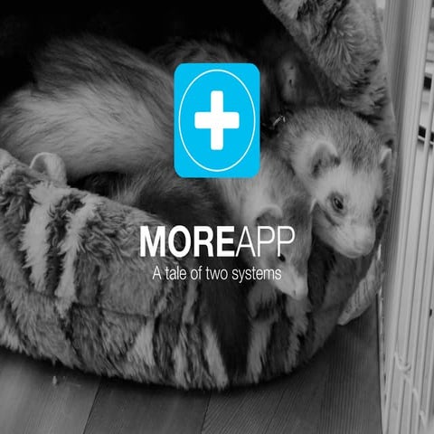 ASAS 2015 Robin van Breukelen