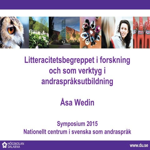 Litteracitetsbegreppet i forskningen och som verktyg för andraspråksutbildning