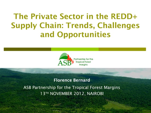 The Private Sector in the REDD+Supply Chain: Trends, Challenges and Opportunities