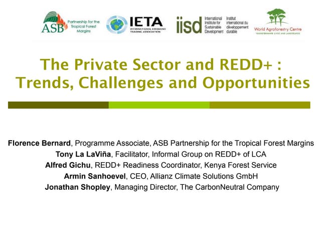 The Private Sector and REDD+ : Trends, Challenges and Opportunities