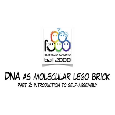 DNA as molecular LEGO brick (part 2)