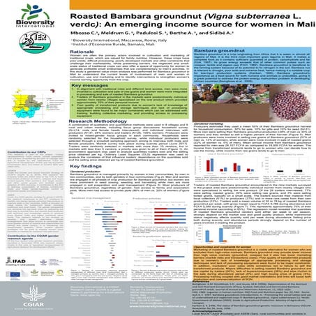 Roasted Bambara groundnut (Vigna subterranea): an emerging income source for women in Mali