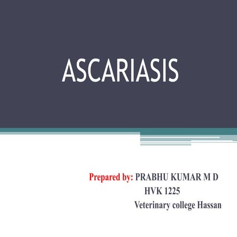 Ascariasis in domestic animals
