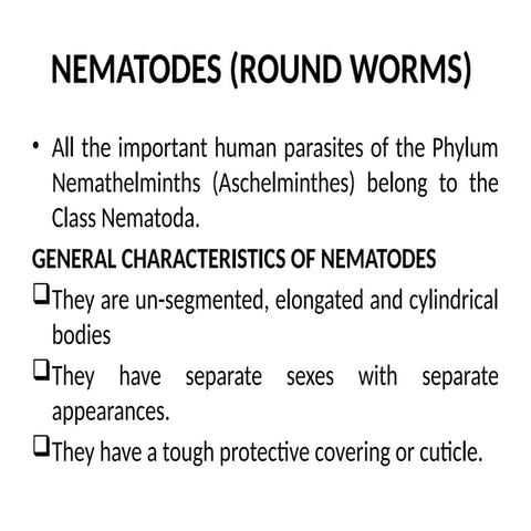 Ascaris lumbricoides  is the most common parasitic worm in humans