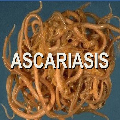 ASCARIS-PATHOGENESIS AND CLINICAL FEATURE.pptx