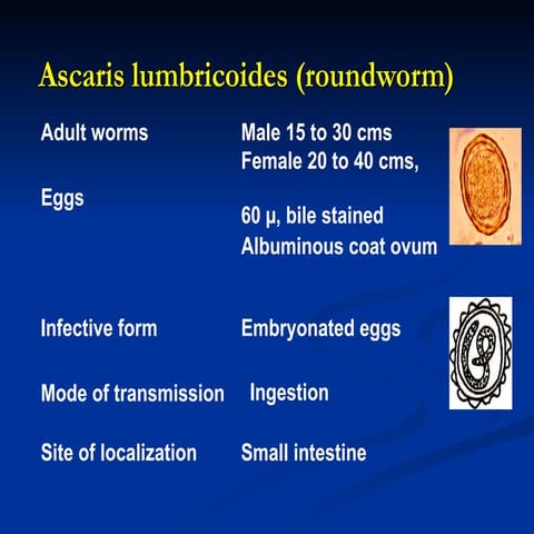 Ascaris, Enterobius, Hookworm and  Trichrous 6.ppt