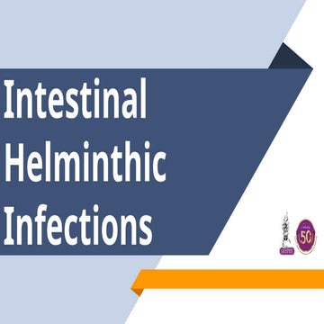 ascaris,hookworm                          .pptx