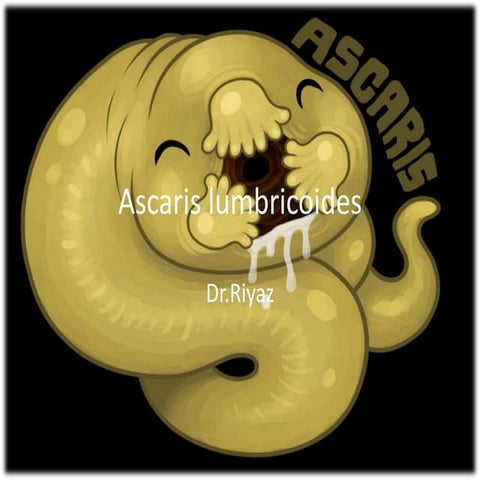Ascaris lumbricoides
