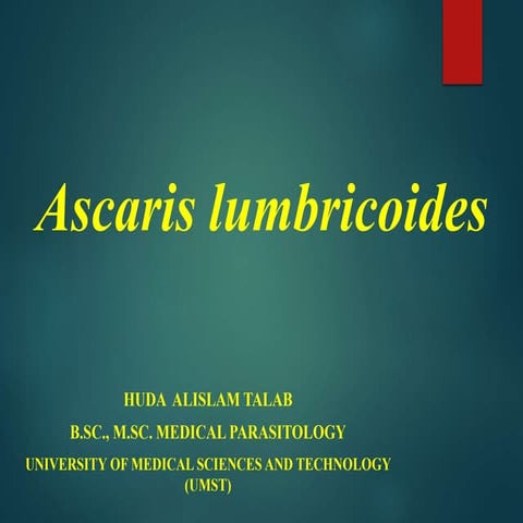 Ascaris lumbricoides