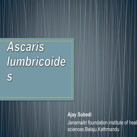 Ascaris lumbricoides
