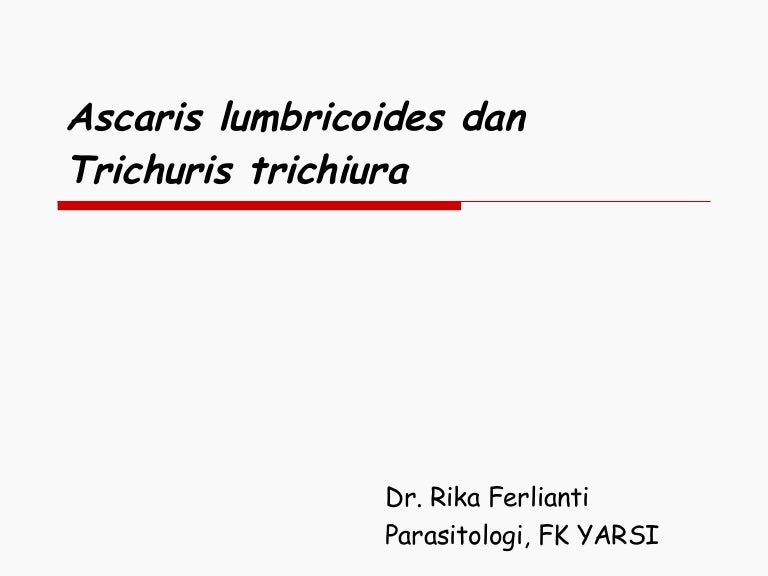 Az Ascaris a tüdőben fejlődik ki