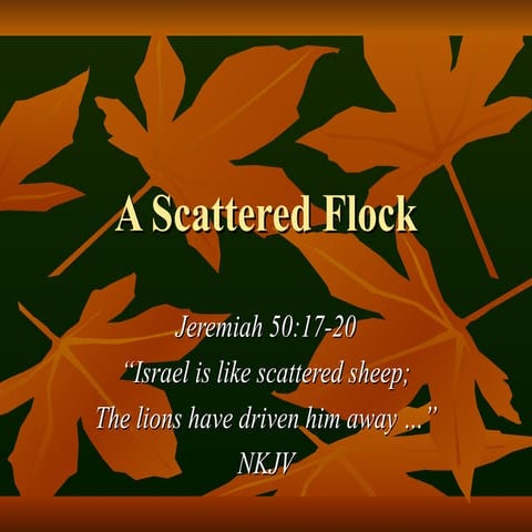 A Scattered Flock bible sermon verses.    Bzjjzjzj.ppt
