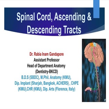 Ascending & Descending Tracts of Spinal Cord by Dr. Rabia Inam Gandapore.pptx