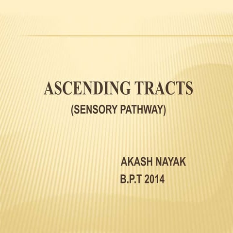 Ascending tracts