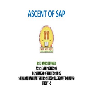 Ascent of sap